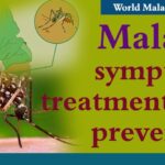 World Malaria Day – April 25th
