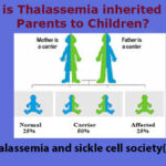 Thalassemia disorder: How it is inherited from Parents to Children