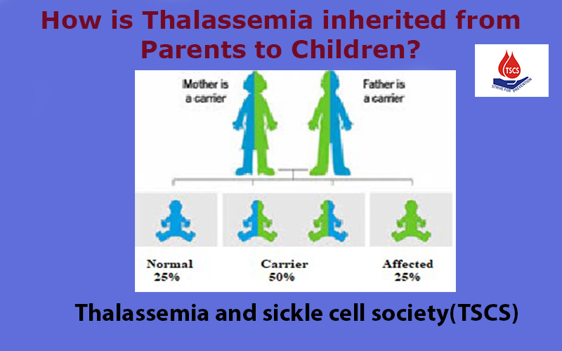 How-is-Thalassemia-inherited-from-parents-to-children