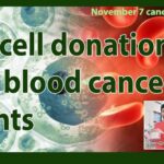 Brothers donated their stem cells - save blood cancer patients