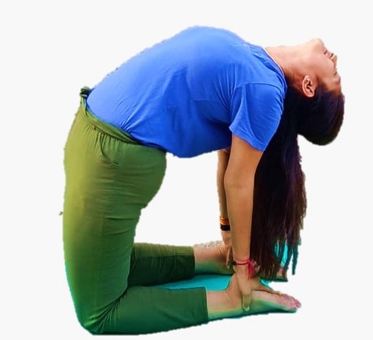 Premium Photo | Woman practicing yoga ustrasana or camel pose