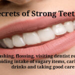 Teeth Tales - Uncovering the Secrets of Strong Teeth