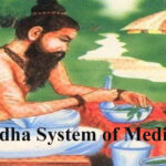Reasons and Solutions to Covid 19 through Siddha System of Medicines