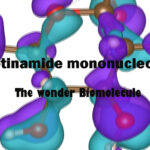 Nicotinamide mononucleotide - The wonder biomolecule