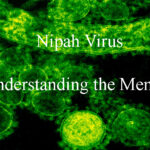 Nipah Virus: Understanding the Menace