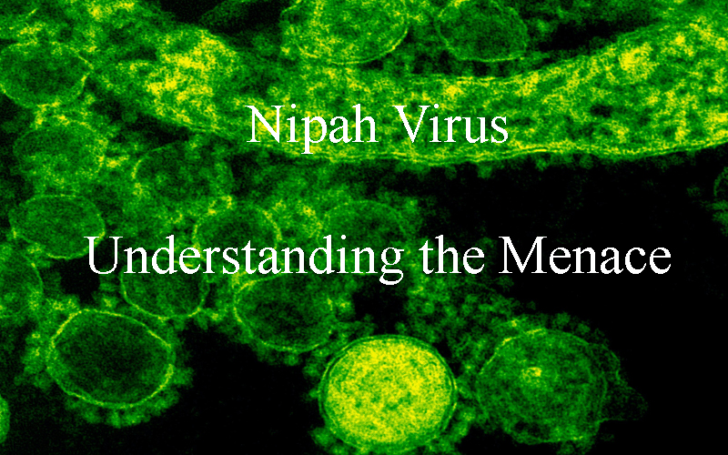 Nipah Virus