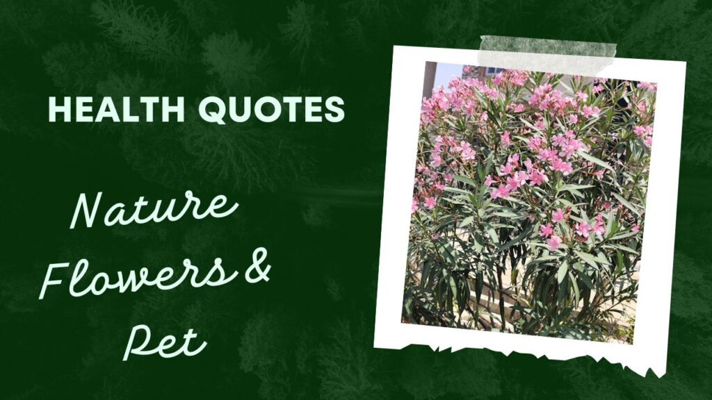 Health Quotes - Nature, Flowers and Pet