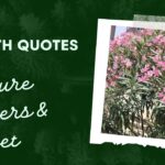 Health Quotes   - Nature - Flowers - Pets