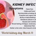 Kidney Infection : Recognizing the Signs - Symptoms and Treatment