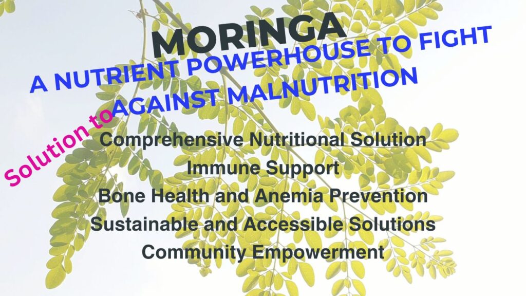 Moringa for malnutrition