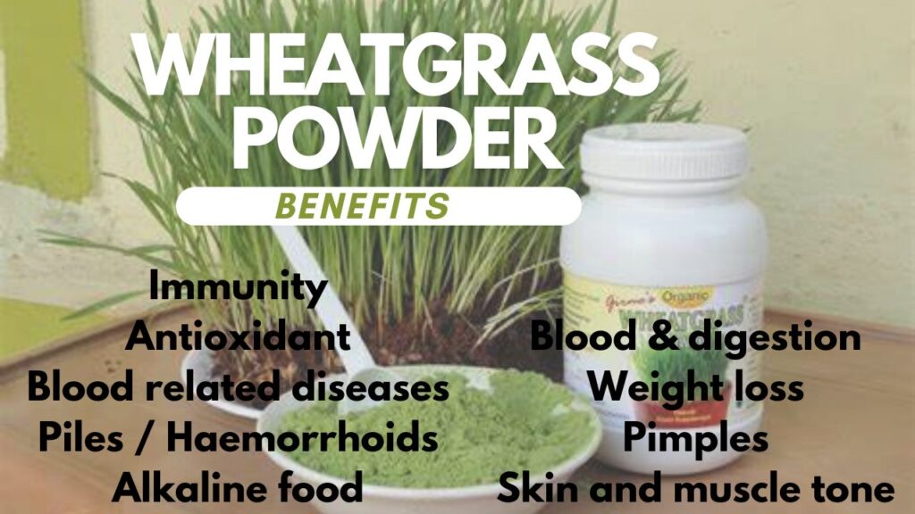 Wheatgrass Powder Benefits