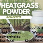 Wheatgrass Powder Benefits - From Field to Wellness