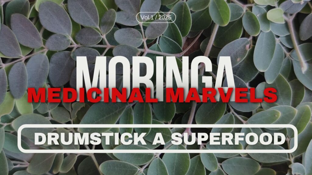 Moringa Medicinal Marvels - Drumstick A Superfood