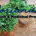 Coriander - nutrition and medicinal properties