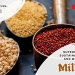 Millets - are nutritional powerhouses