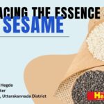 Embracing the Essence of Sesame: Ayurvedic Wellness