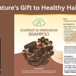 Shikhakai-Soap Nut Shampoo - Nature's Gift to Healthy Hair #vydyaaloka #healthvision #aavishjia