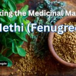 Unlocking the Medicinal Marvels of Methi (Fenugreek) #drvenkataramanahegde #nisargamanesirsi #vydyaloka #healthvision