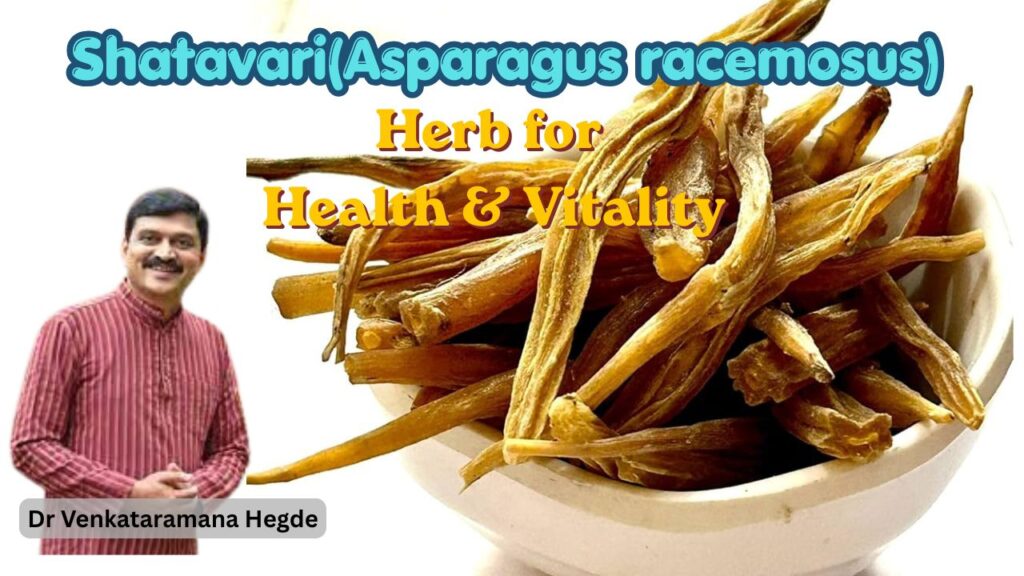 Shatavari(Asparagus racemosus) #drvenkataramanhegde #nisargamanesirsi #healthvision #vydyaloka