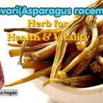Shatavari(Asparagus racemosus) #drvenkataramanhegde #nisargamanesirsi #healthvision #vydyaloka