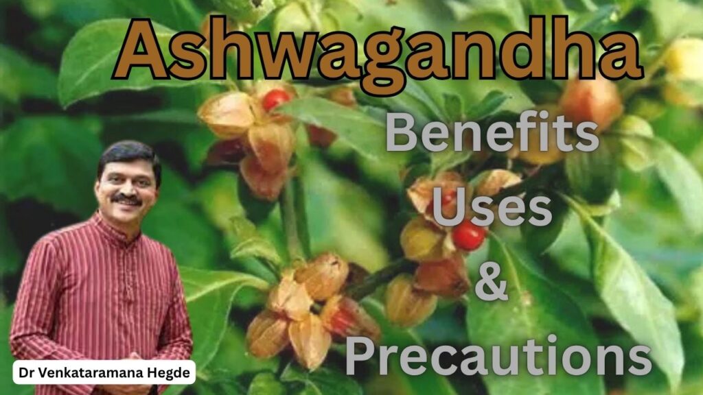#ashwagandha #drvenkataramanahegde #nisargamanesirsi #vedawellness #vydyaloka #healthvision