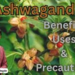 #ashwagandha #drvenkataramanahegde #nisargamanesirsi #vedawellness #vydyaloka #healthvision