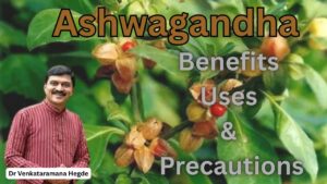 #ashwagandha #drvenkataramanahegde #nisargamanesirsi #vedawellness #vydyaloka #healthvision