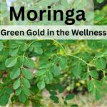 Moringa Ashok Nair #vydyaloka #healthvision